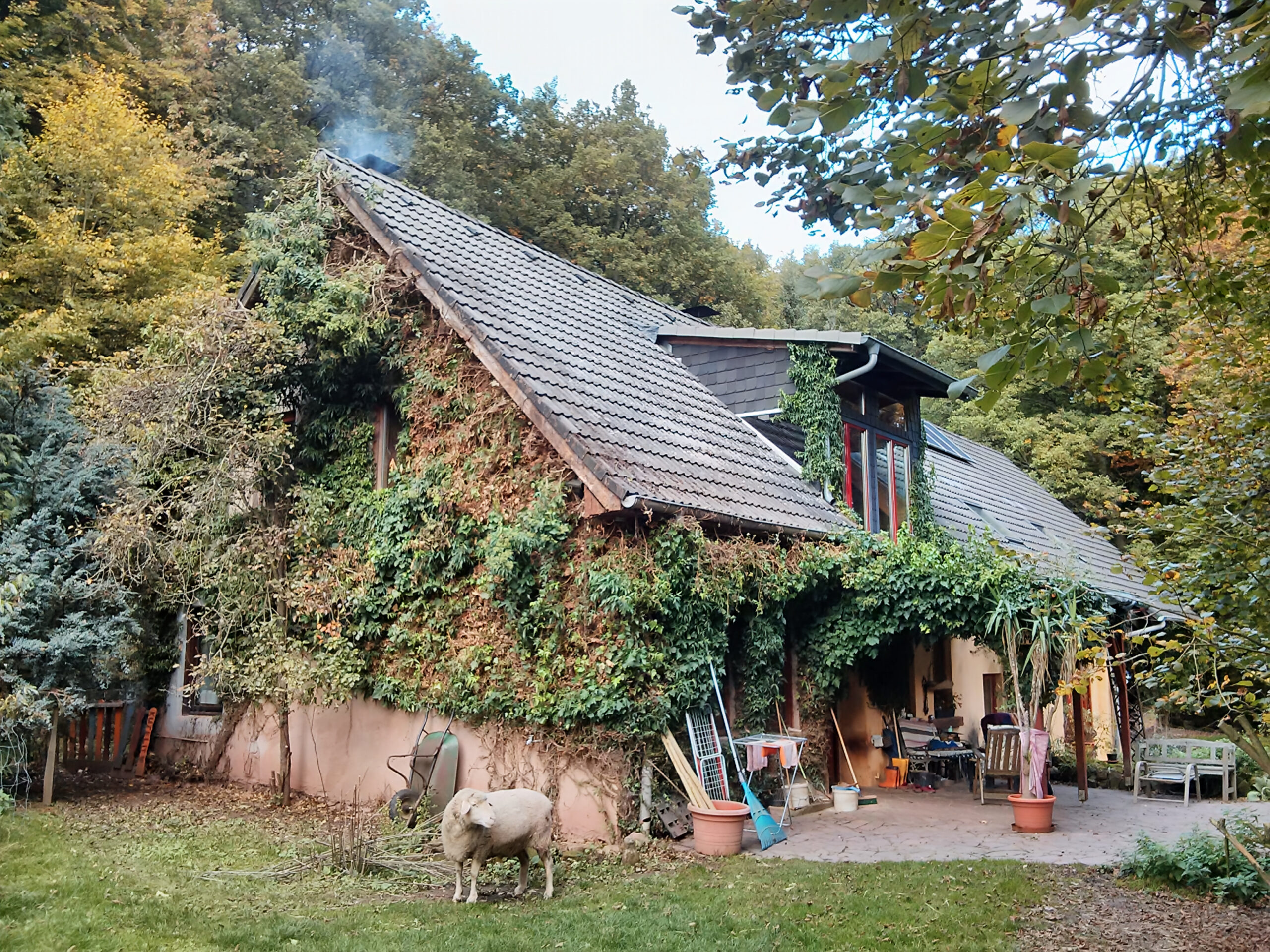 Historische Entwicklung